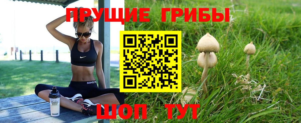 Псилоцибиновые грибы GOLDEN TEACHER Губкин