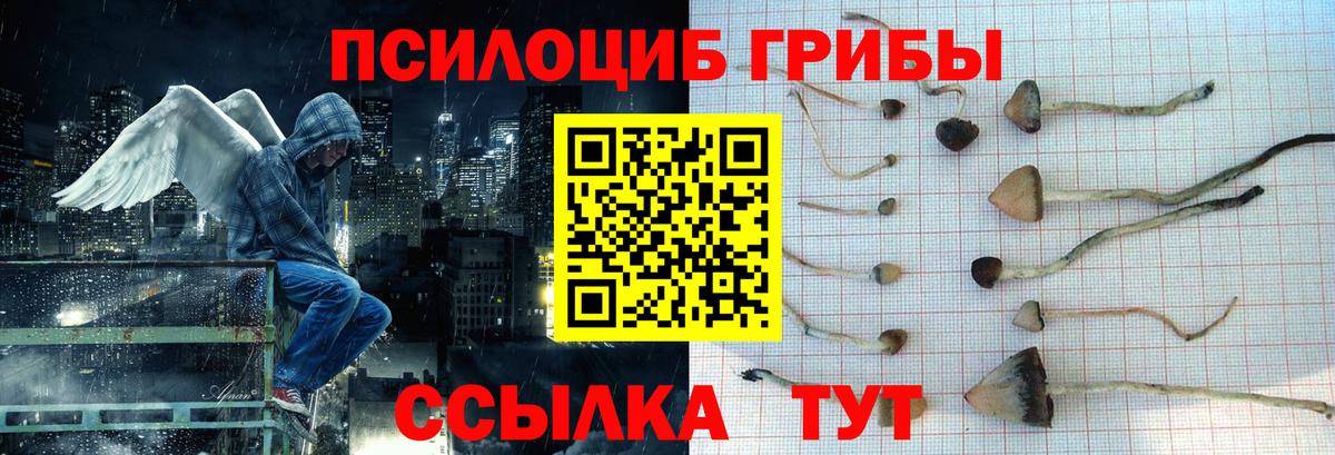 Галлюциногенные грибы GOLDEN TEACHER  Псилоцибиновые грибы Cubensis  Вход с VPN  Губкин 