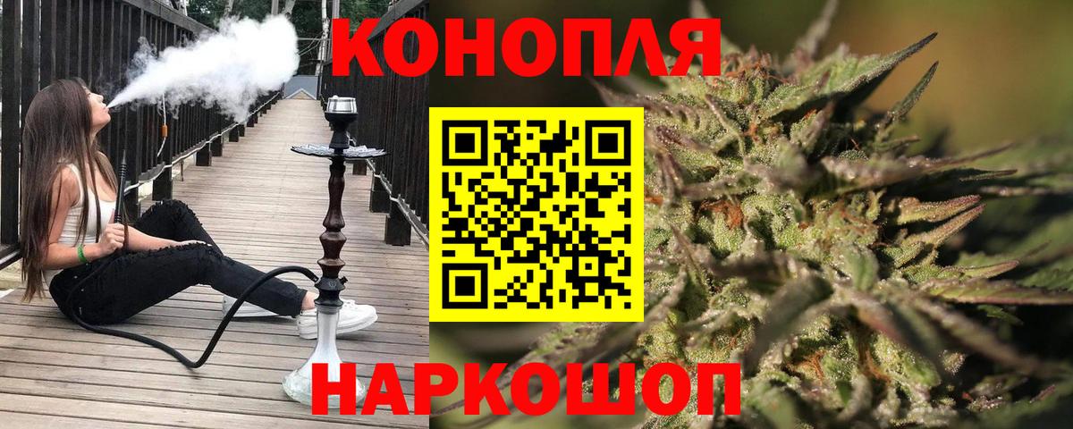 Губкин  Бошки Шишки THC 21%  Вход с VPN  Конопля Bruce Banner  Шишки марихуана план  Конопля Amnesia 